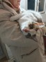 Greta (8)